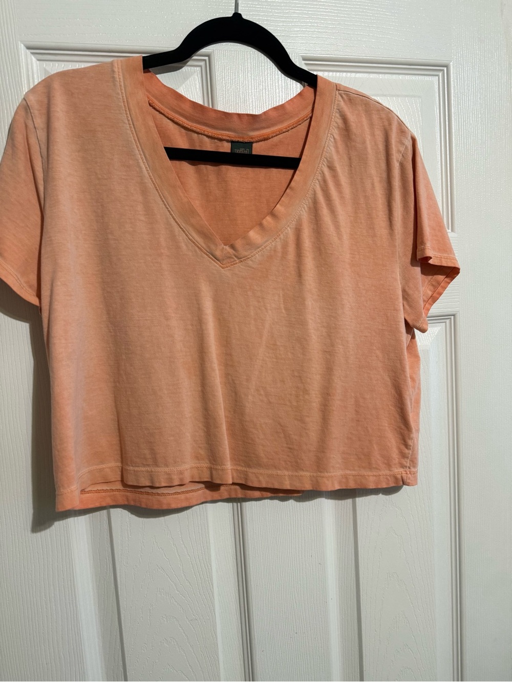 wild fable Peach V-Neck Cropped Tee